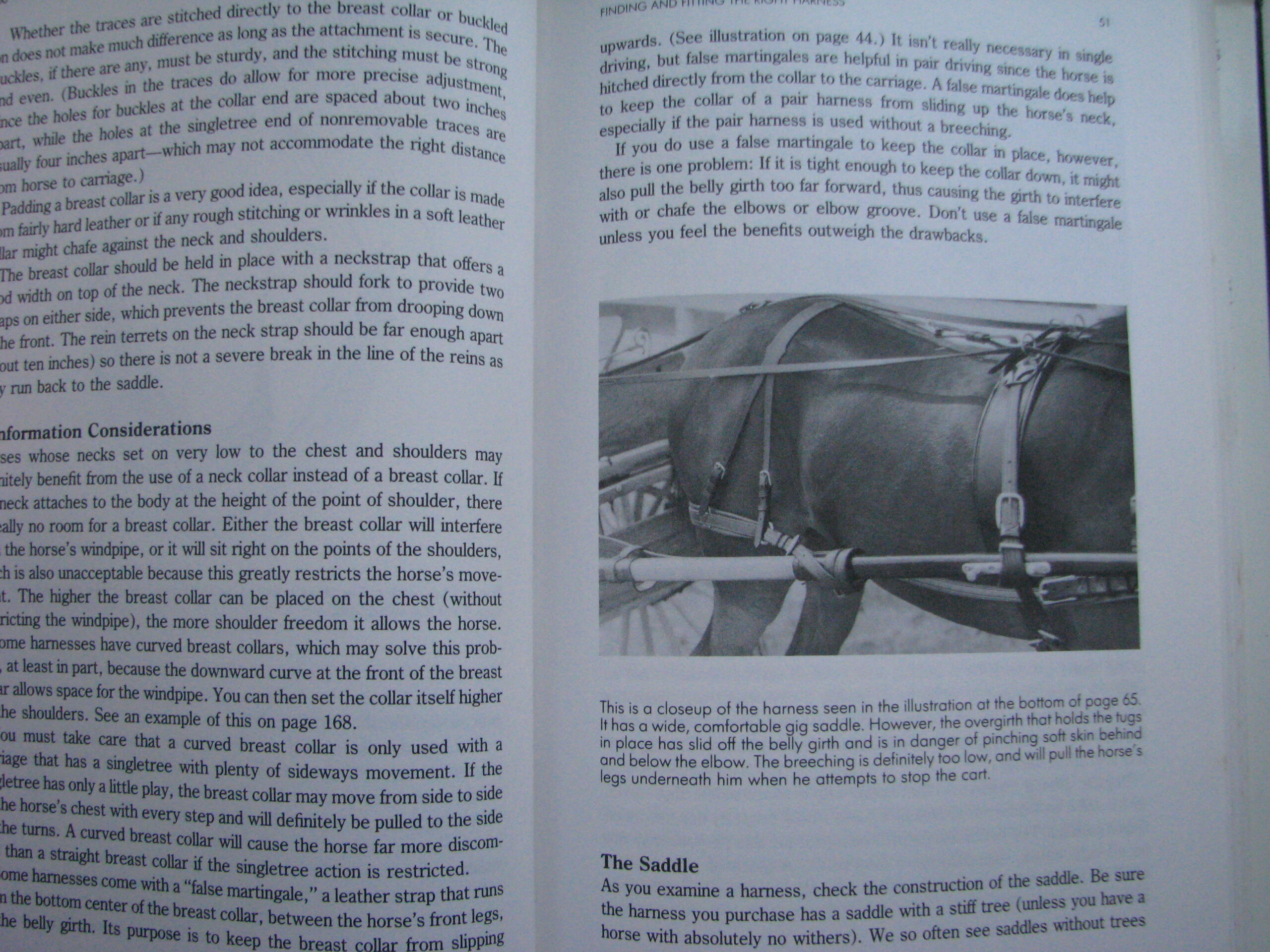 Carriage Driving Heike Bean and Sarah Blanchard - Image 7