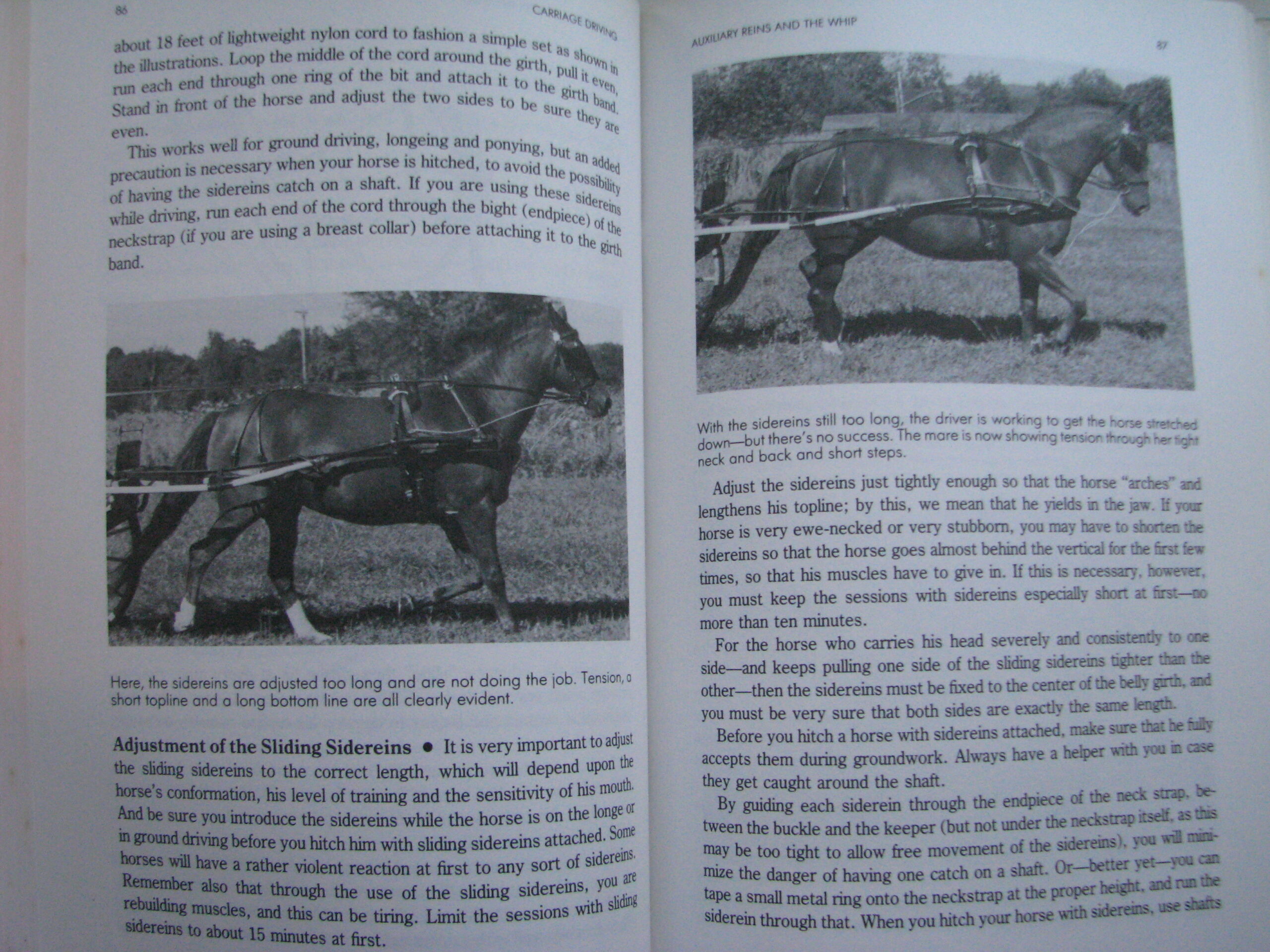 Carriage Driving Heike Bean and Sarah Blanchard - Image 10