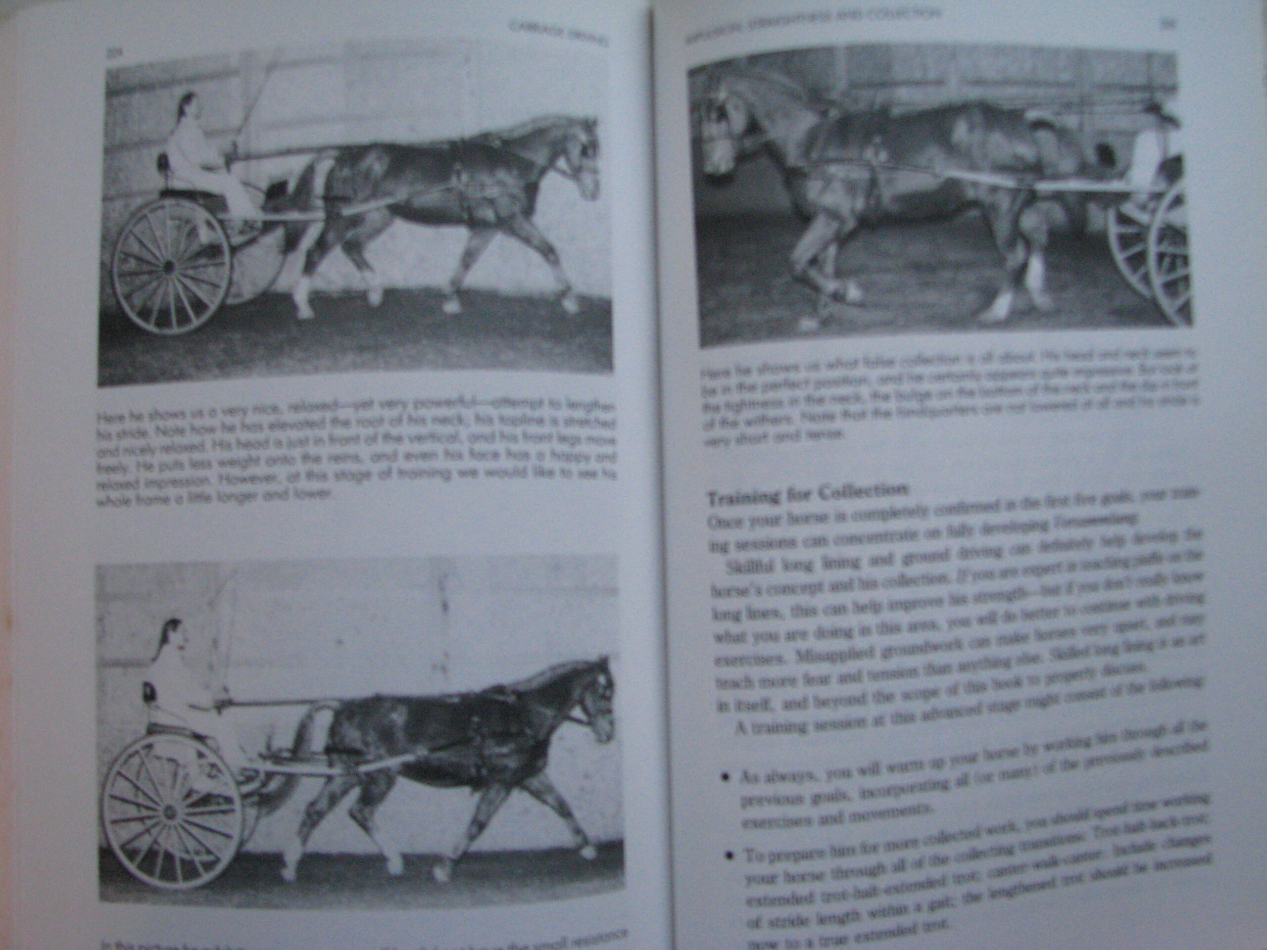 Carriage Driving Heike Bean and Sarah Blanchard - Image 12