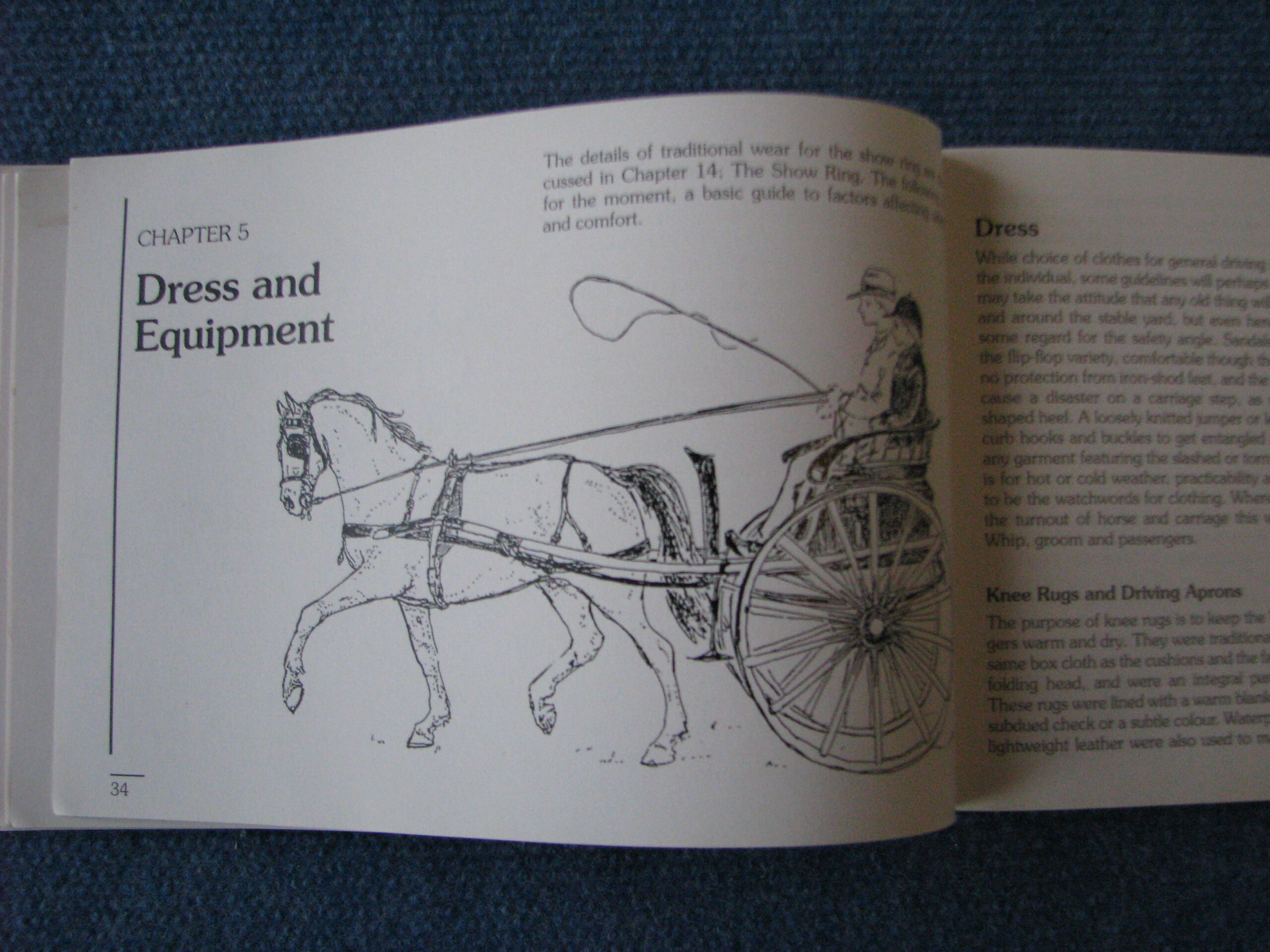 Make The Most of Carriage Driving Vivian and Richard Ellis, Joy Claxton - Image 9