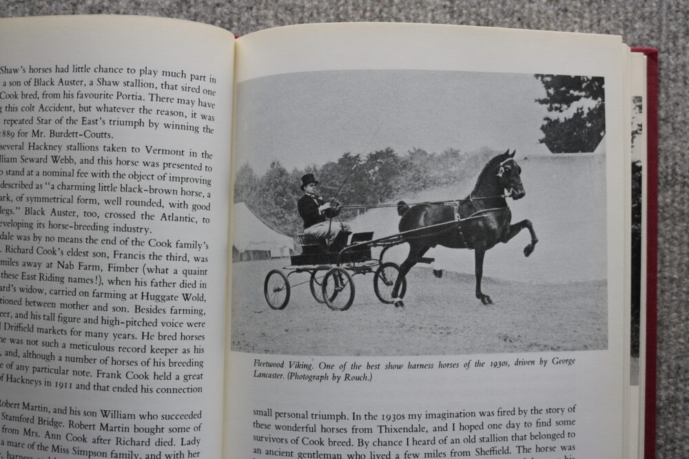 Hackney horse, The High Stepper, Tom Ryder - Image 7