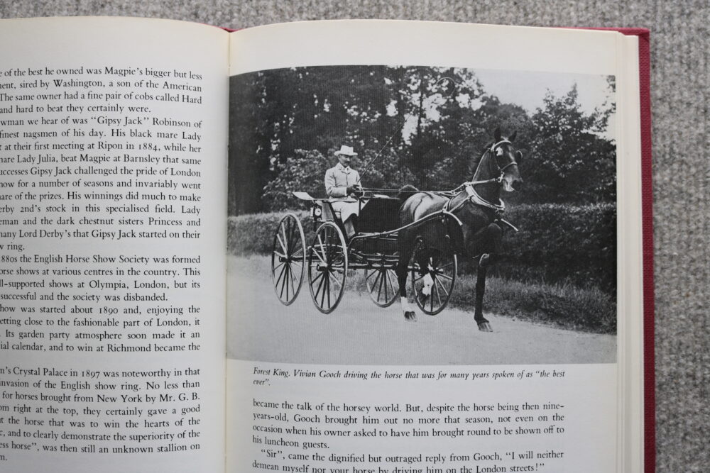 Hackney horse, The High Stepper, Tom Ryder - Image 9