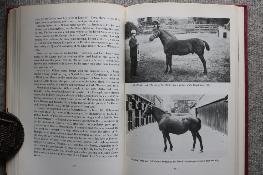 Hackney horse, The High Stepper, Tom Ryder - Image 10