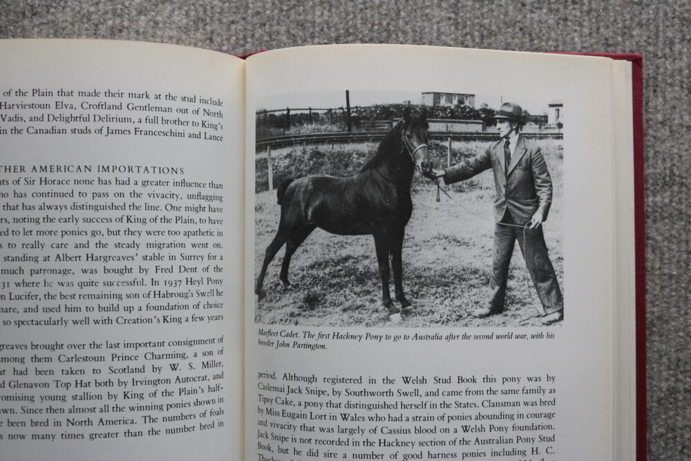 Hackney horse, The High Stepper, Tom Ryder - Image 12