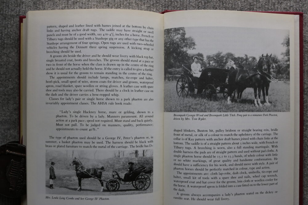 Hackney horse, The High Stepper, Tom Ryder - Image 13
