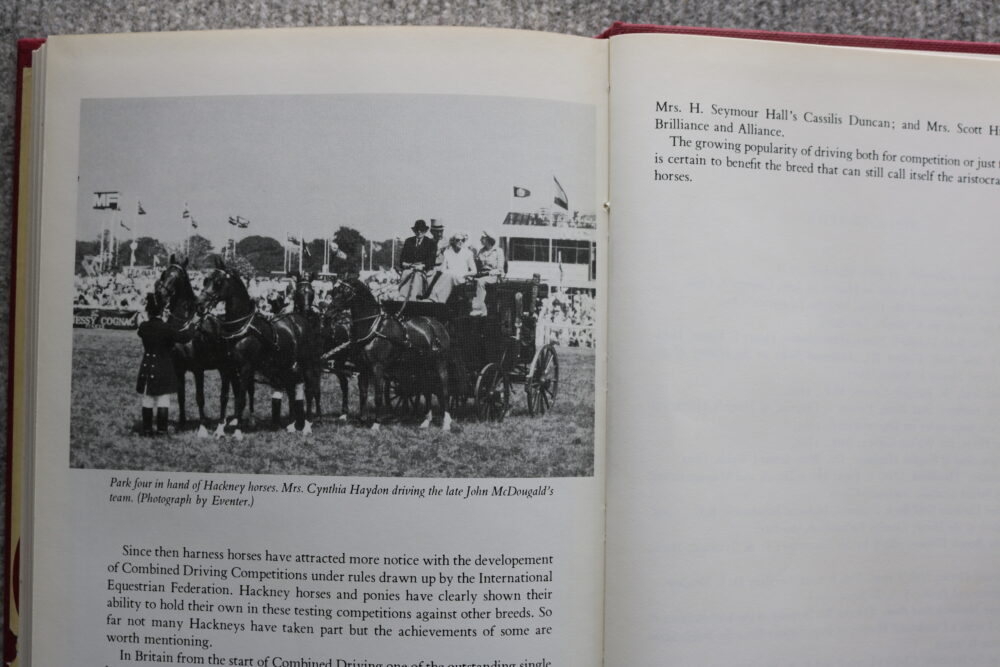 Hackney horse, The High Stepper, Tom Ryder - Image 14