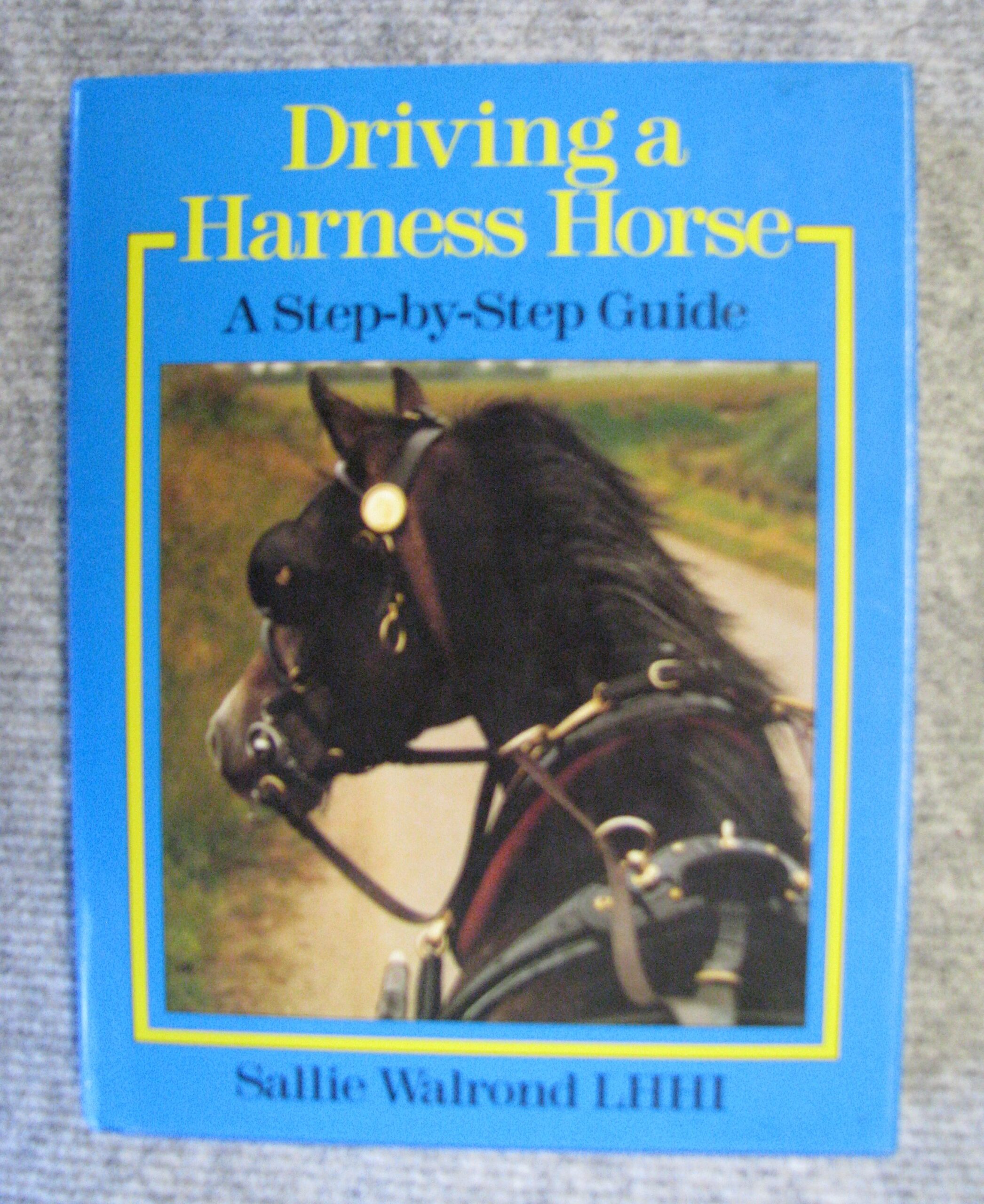 Sallie Walrond L.H.H.I, Driving A Harness Horse