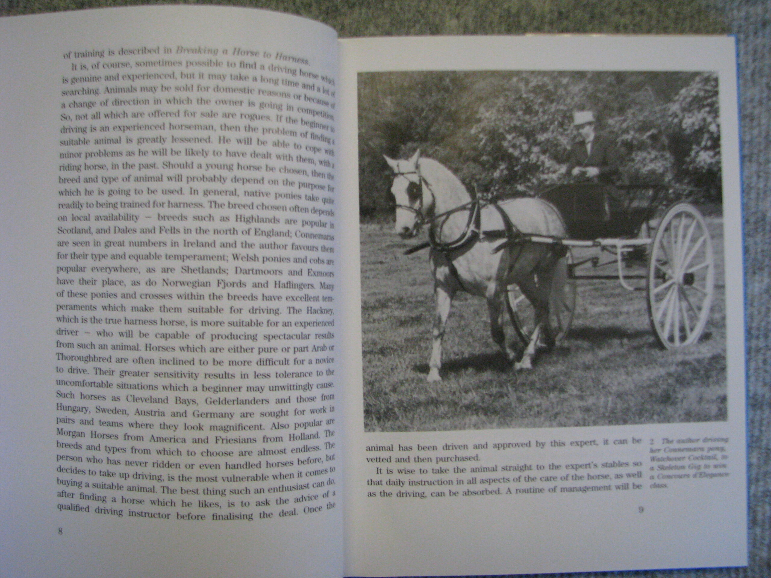 Sallie Walrond L.H.H.I, Driving A Harness Horse - Image 4