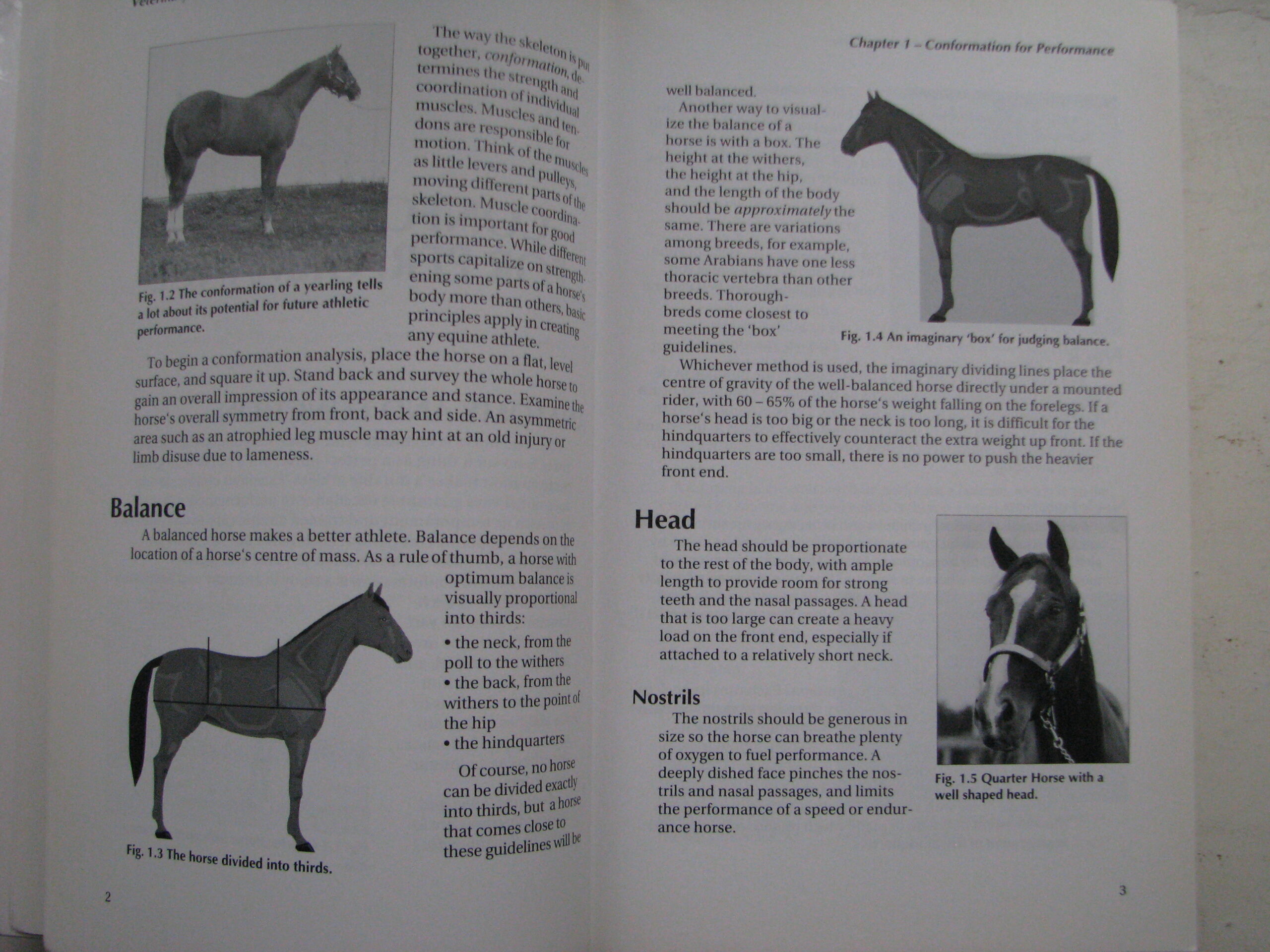 Veterinary Manual for the Performance Horse Nancy S. Loving A.M. Johnston - Image 7