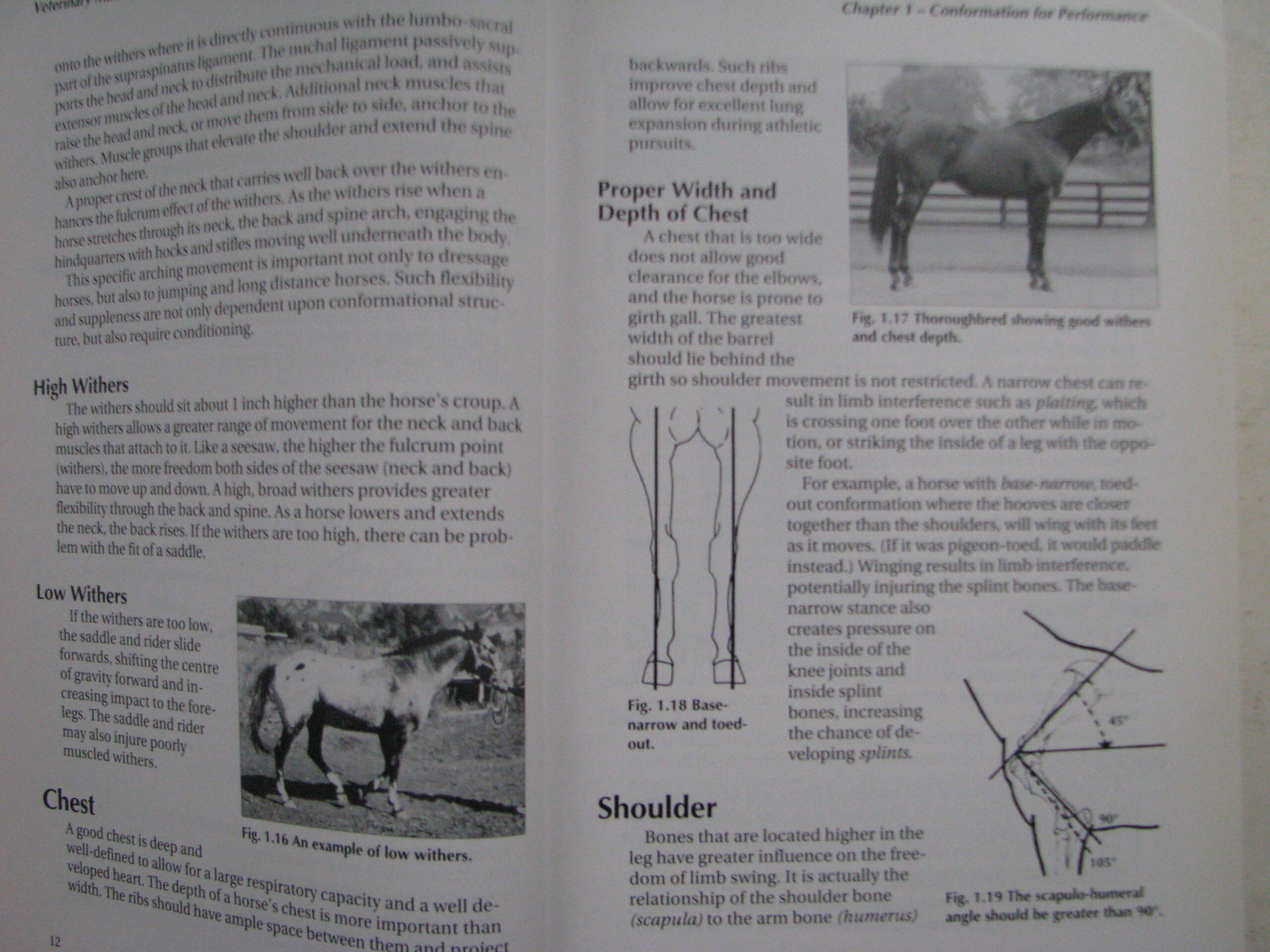 Veterinary Manual for the Performance Horse Nancy S. Loving A.M. Johnston - Image 8