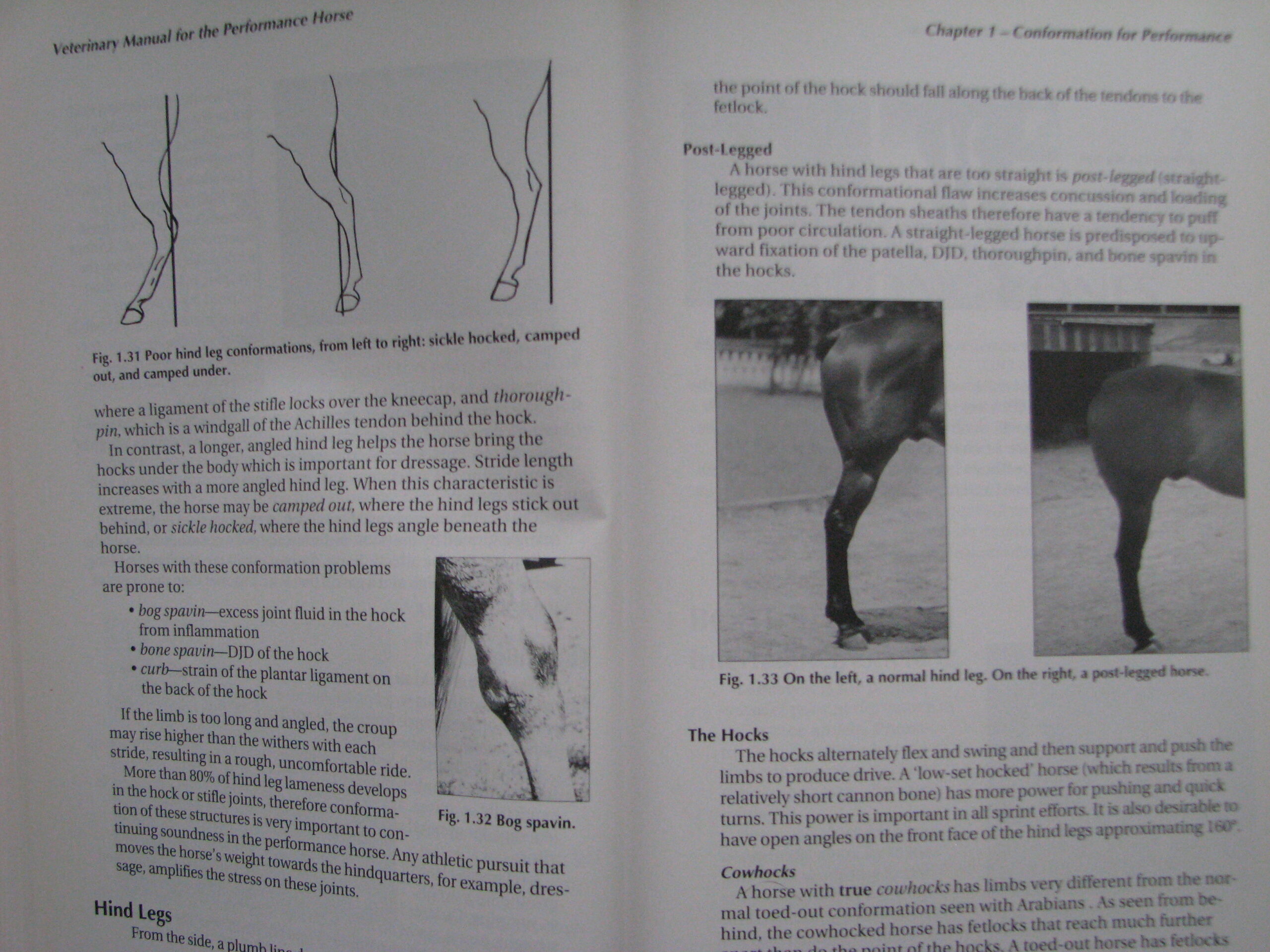 Veterinary Manual for the Performance Horse Nancy S. Loving A.M. Johnston - Image 9