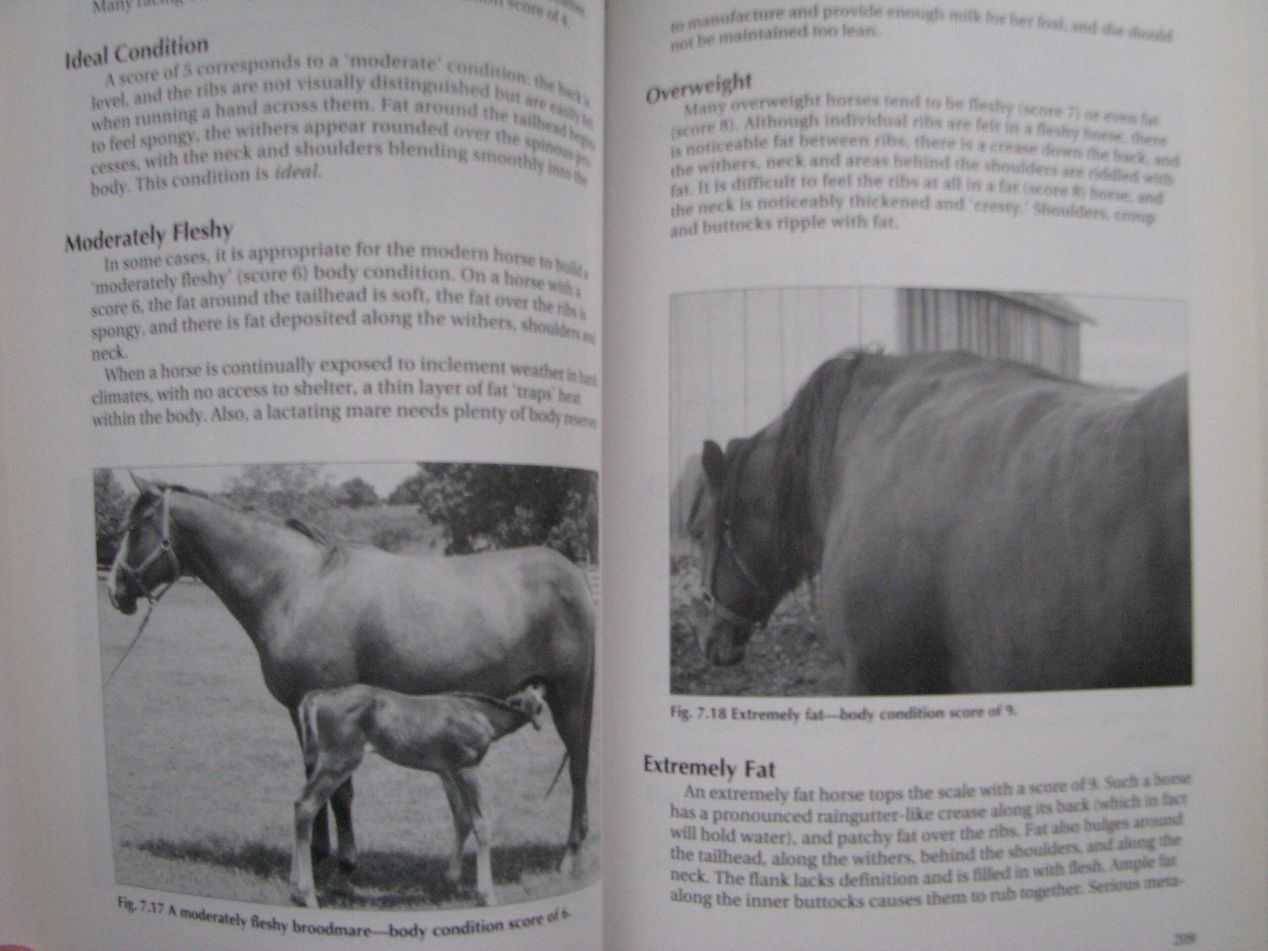 Veterinary Manual for the Performance Horse Nancy S. Loving A.M. Johnston - Image 10