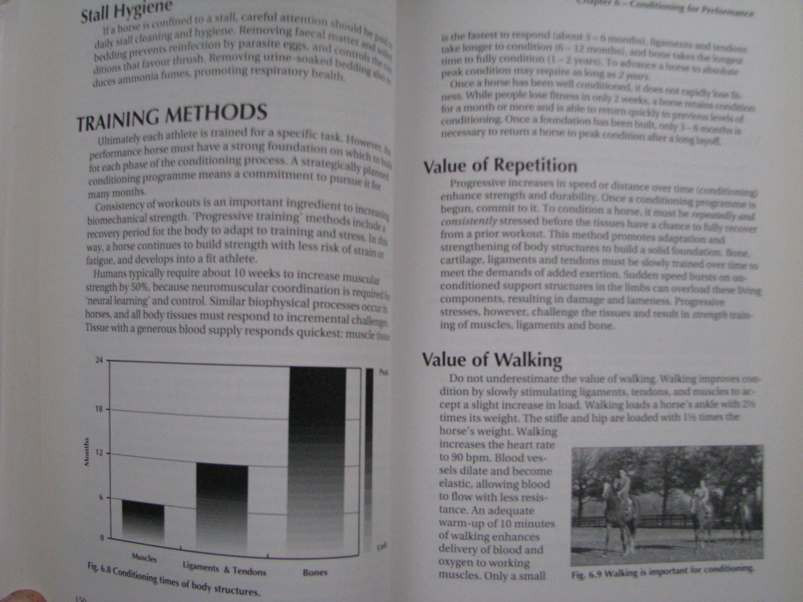 Veterinary Manual for the Performance Horse Nancy S. Loving A.M. Johnston - Image 11