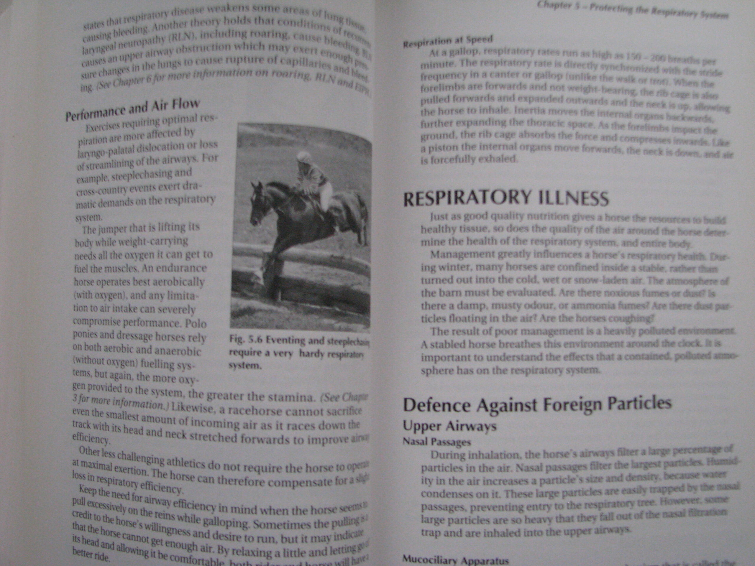 Veterinary Manual for the Performance Horse Nancy S. Loving A.M. Johnston - Image 12