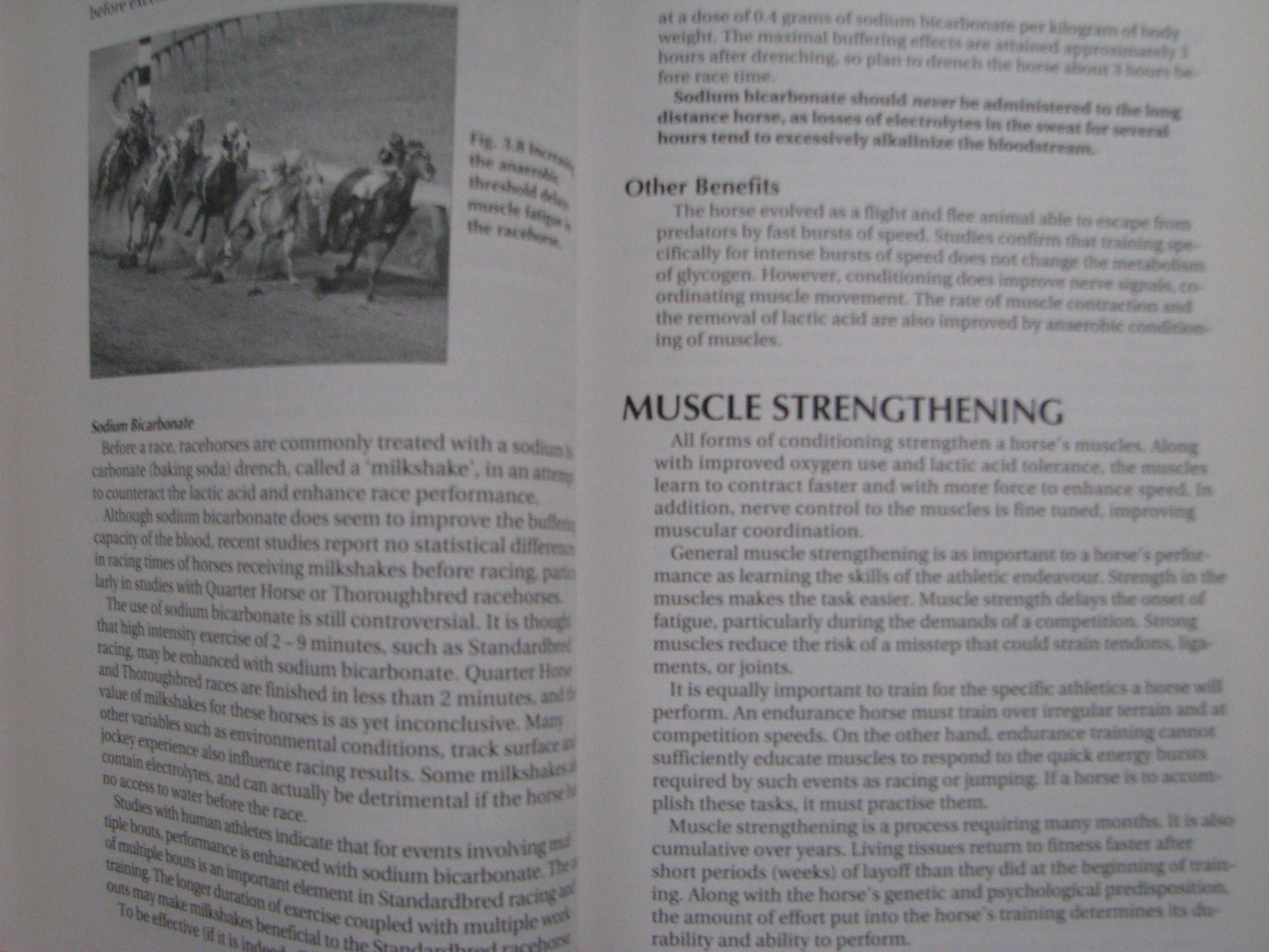 Veterinary Manual for the Performance Horse Nancy S. Loving A.M. Johnston - Image 13