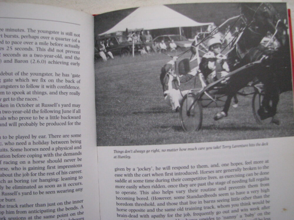 Harness Racing in the UK Stella Havard - Image 8