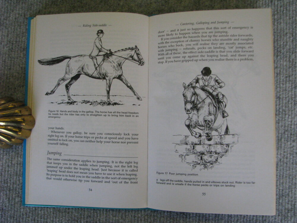 Riding Side Saddle Janet Macdonld - Image 11