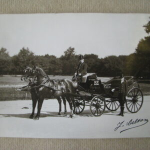 J Delton Equestrian photographer Photographie Hippique Paris