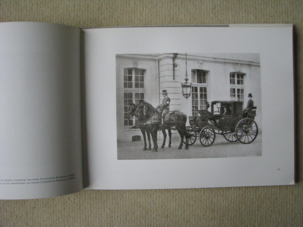 J Delton Equestrian photographer Photographie Hippique Paris - Image 7