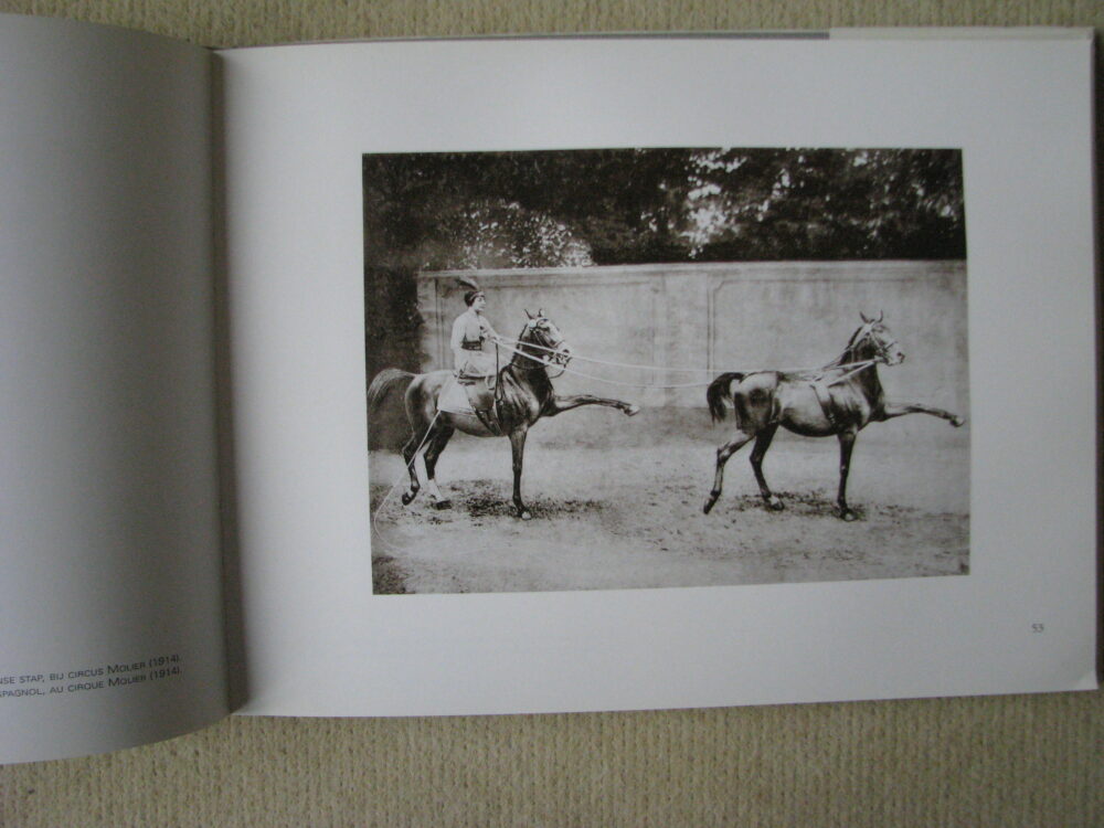 J Delton Equestrian photographer Photographie Hippique Paris - Image 8