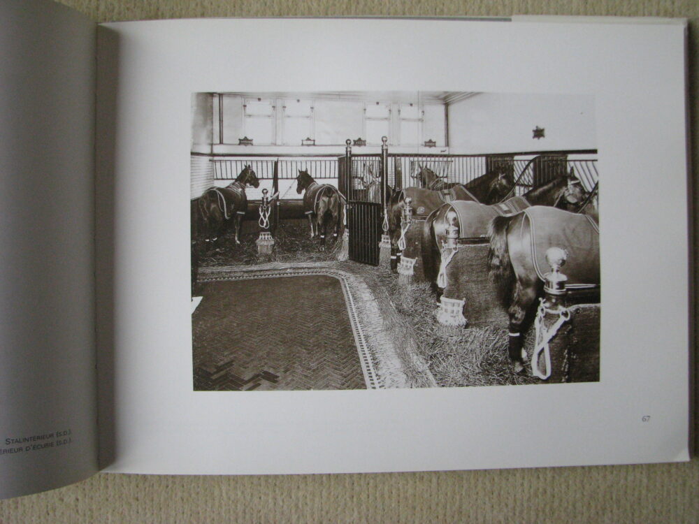 J Delton Equestrian photographer Photographie Hippique Paris - Image 10