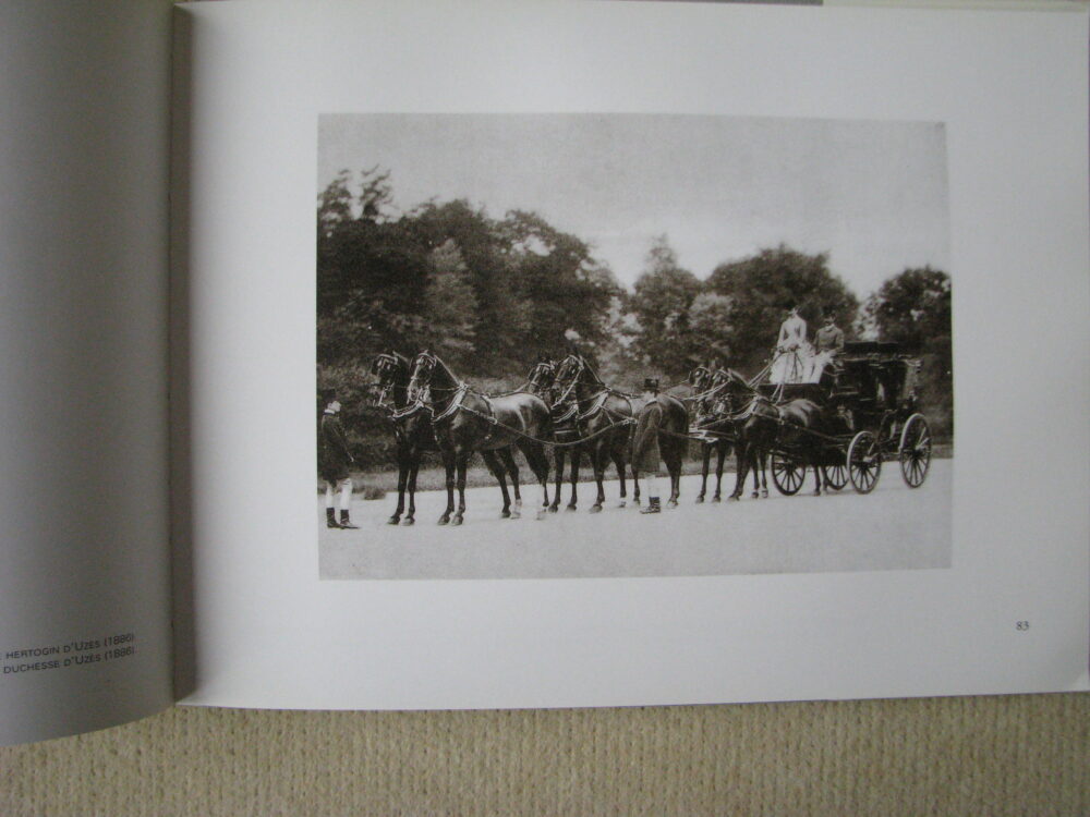 J Delton Equestrian photographer Photographie Hippique Paris - Image 12