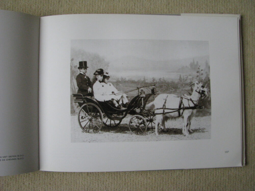 J Delton Equestrian photographer Photographie Hippique Paris - Image 14