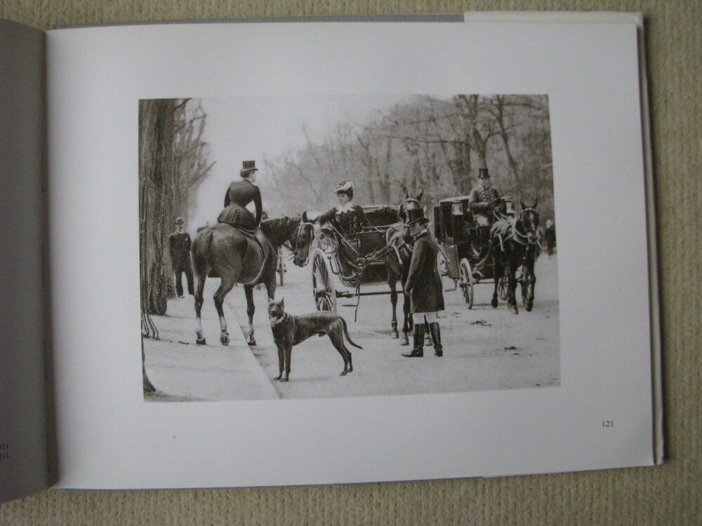 J Delton Equestrian photographer Photographie Hippique Paris - Image 15