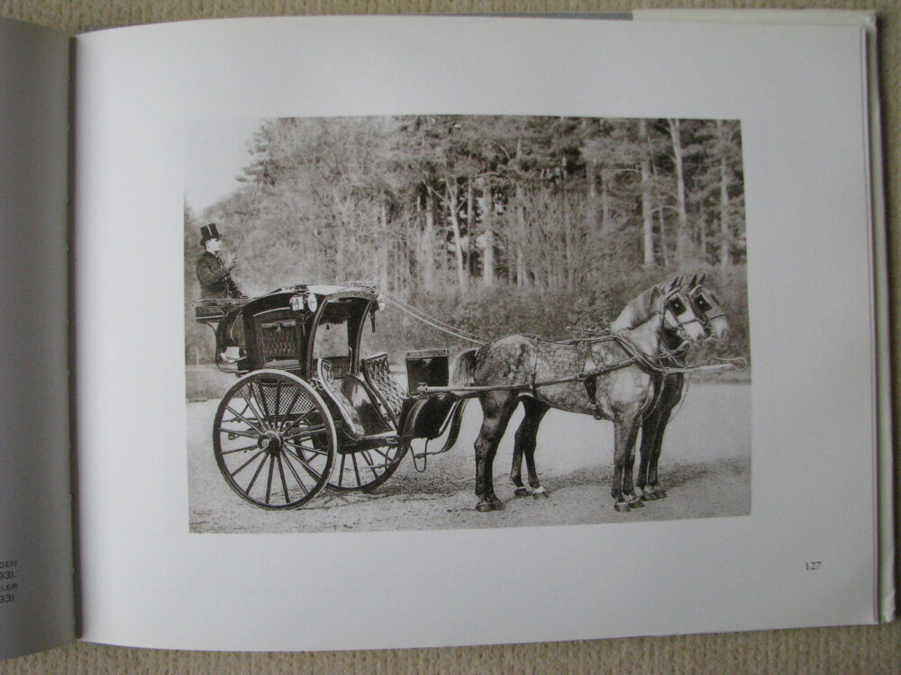 J Delton Equestrian photographer Photographie Hippique Paris - Image 16
