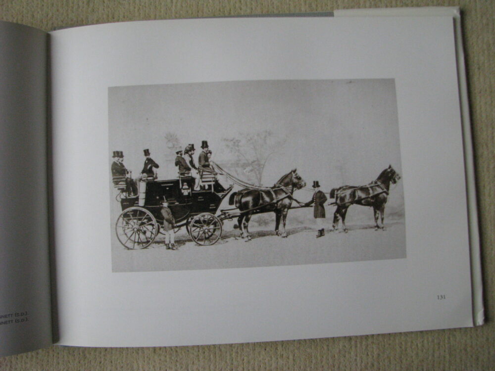 J Delton Equestrian photographer Photographie Hippique Paris - Image 17
