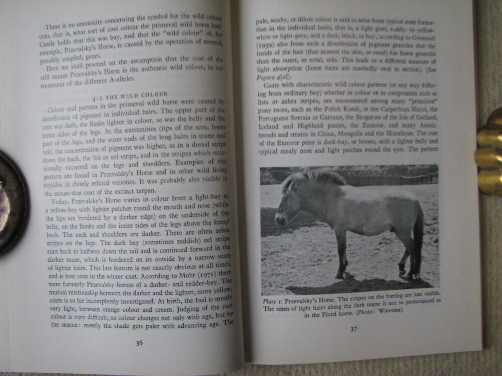 Hair Colour in the Horse. R Geurts - Image 10