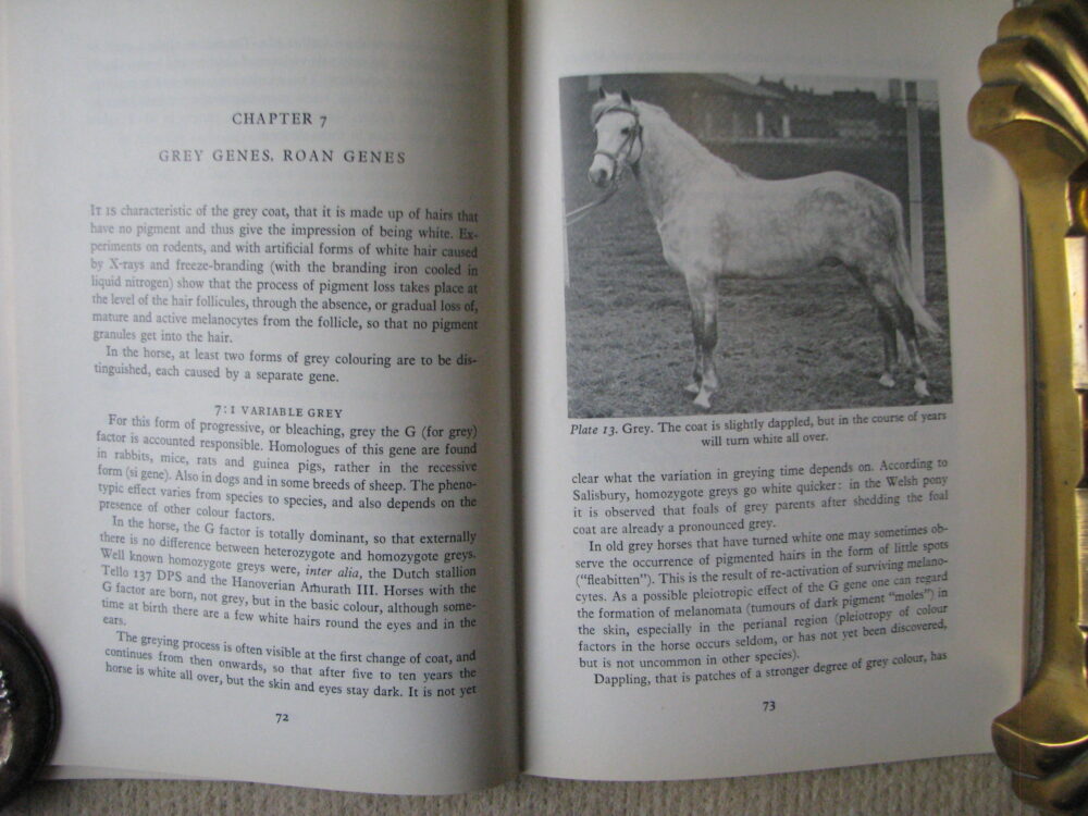 Hair Colour in the Horse. R Geurts - Image 12