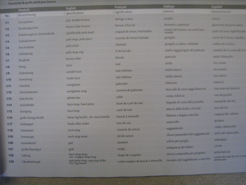 Dictionary For Carriage Driving. Deutsch, English, Francaise, Italiano, Espanol - Image 8