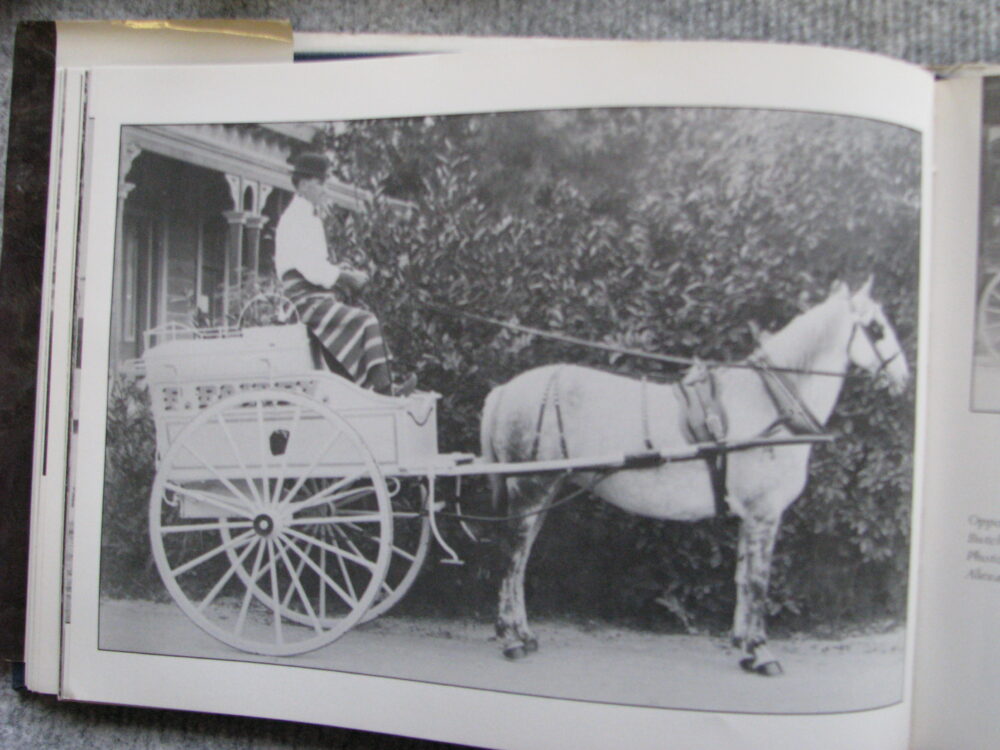 Horsedrawn Vehicles of New Zealand, Vera Hawke and Amy Scott - Image 12