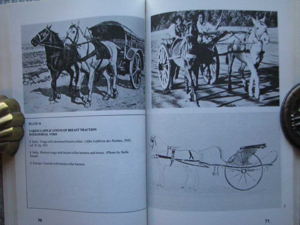 Early Harness Systems. J Spruytte - Image 13