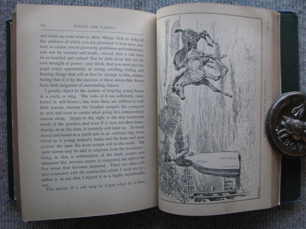 Riding For Ladies, Mrs Power O'Donoghue, 1887 - Image 11