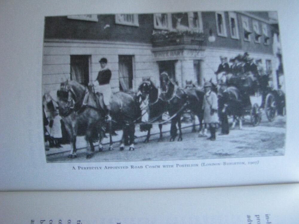 Riding and Driving For Women, Belle Beach - Image 19