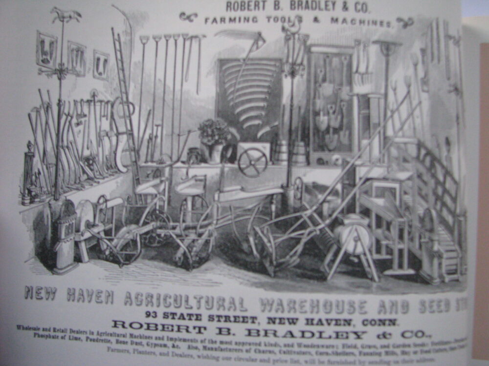 G& D Cook & Sons Illustrated Catalogue of Carriages and Business Advertiser - Image 8