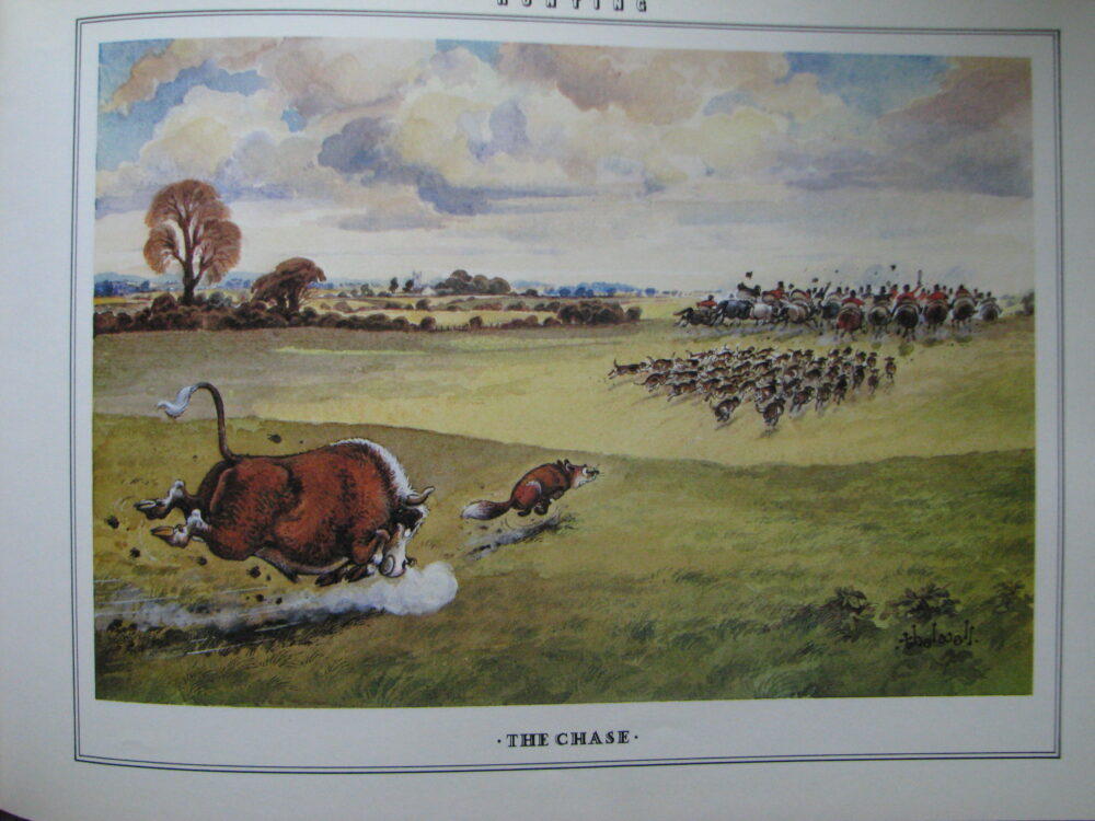 Thelwell's Sporting Prints, Norman Thelwell, First Edition,Signed Copy - Image 11