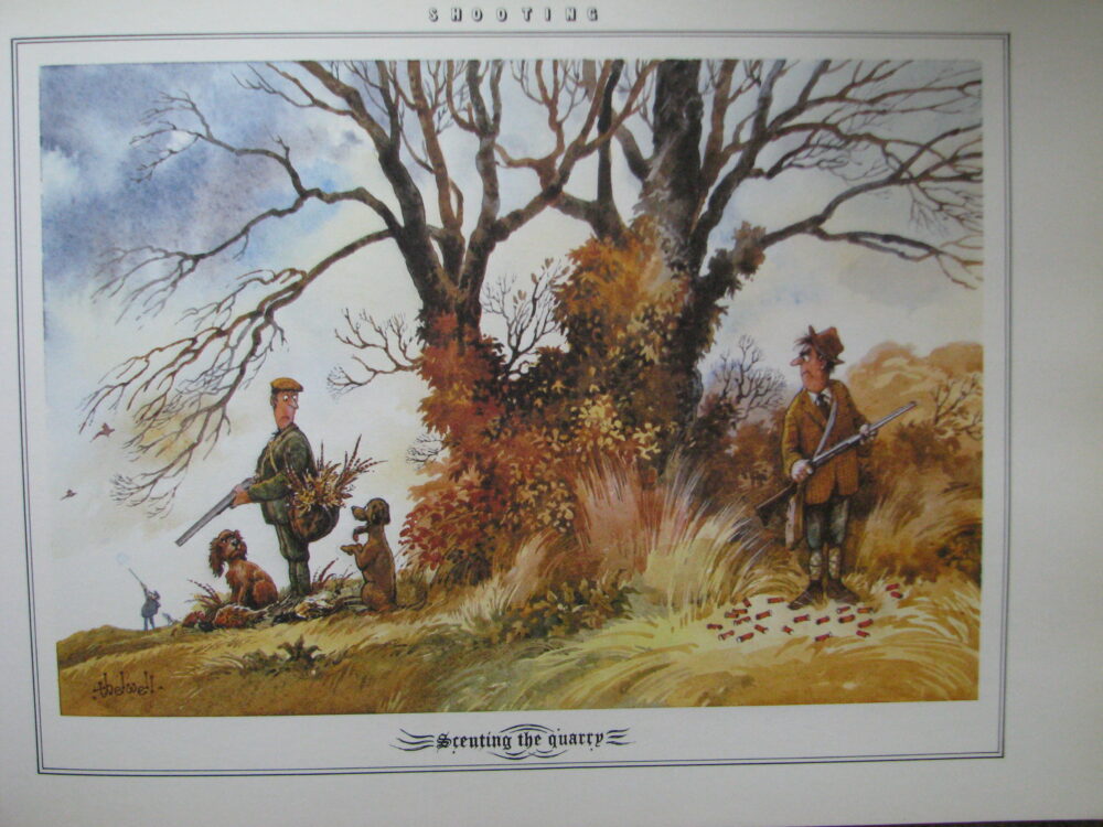Thelwell's Sporting Prints, Norman Thelwell, First Edition,Signed Copy - Image 16
