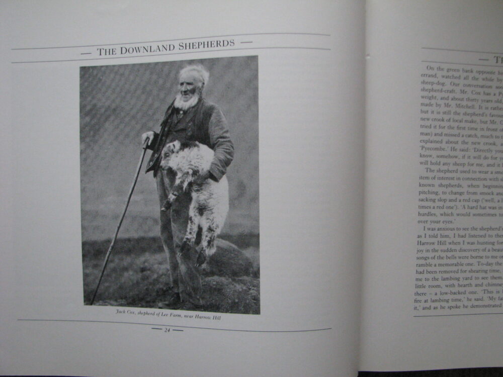 The Downland Shepherds, G Benningfield, R Pailthorpe, S Payne - Image 9