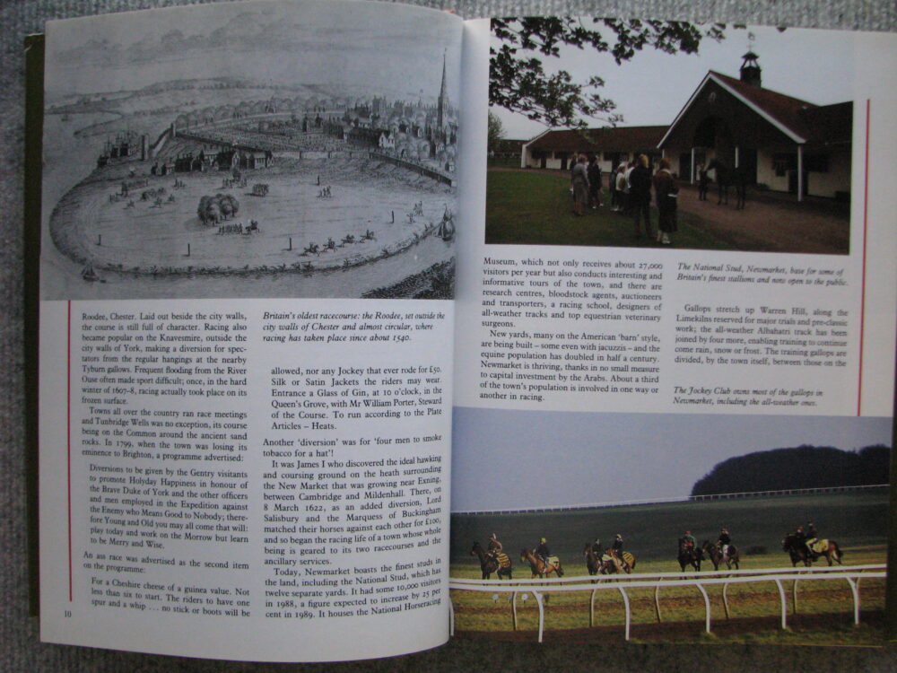 Stride by Stride, The Illustrated History of Horseracing, Anne Holland - Image 5