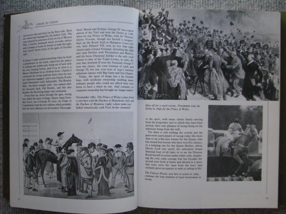 Stride by Stride, The Illustrated History of Horseracing, Anne Holland - Image 6