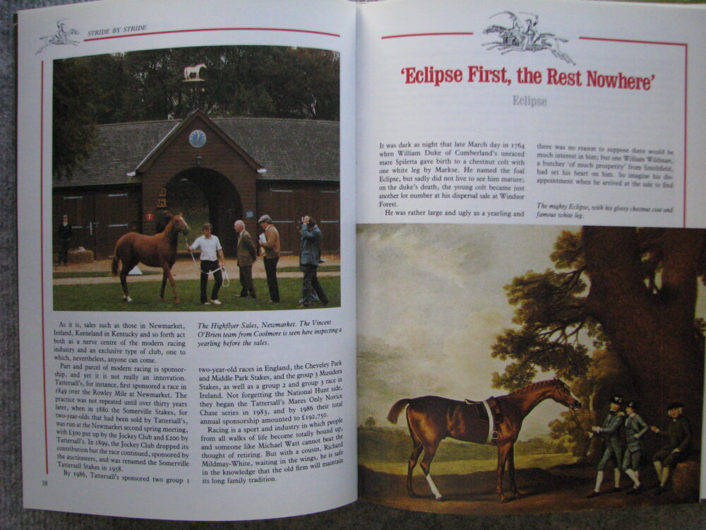 Stride by Stride, The Illustrated History of Horseracing, Anne Holland - Image 9