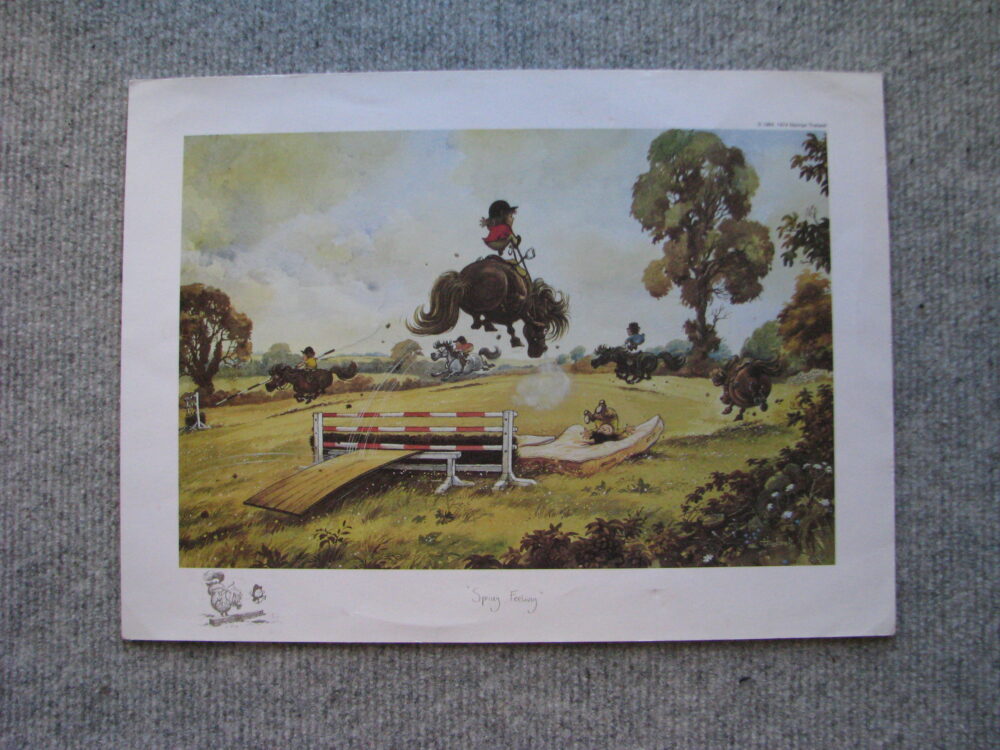 Thelwell's Sporting Prints, Norman Thelwell, First Edition,Signed Copy - Image 3