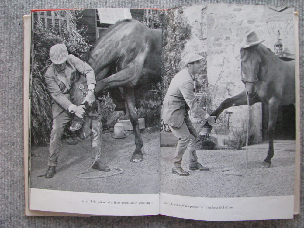 Foxhunter In Pictures,Chosen and introduced by H.M. Llewellyn - Image 11