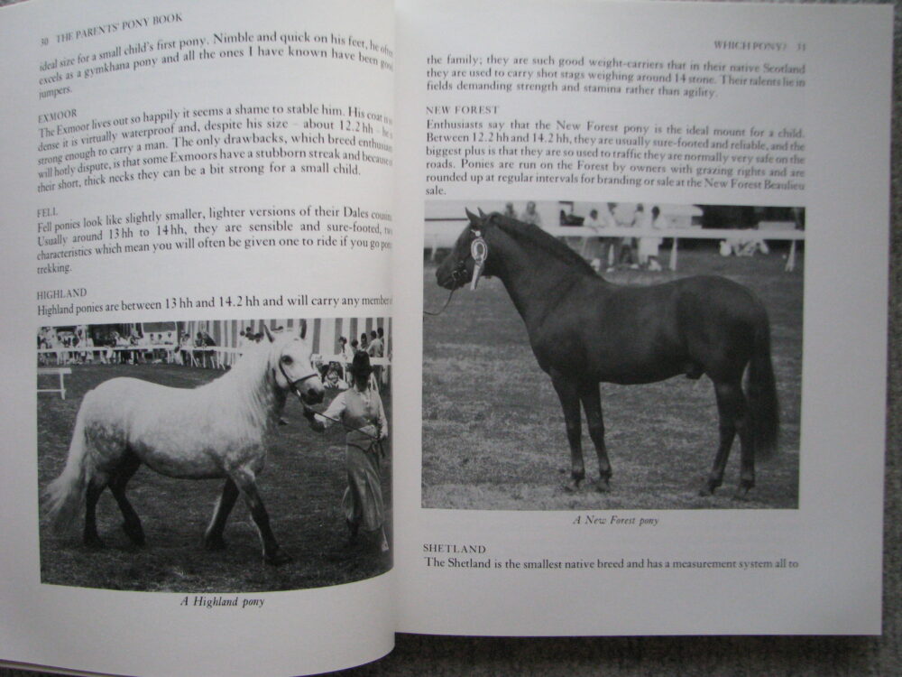 The Parents Pony Book, Carolyn Henderson - Image 10
