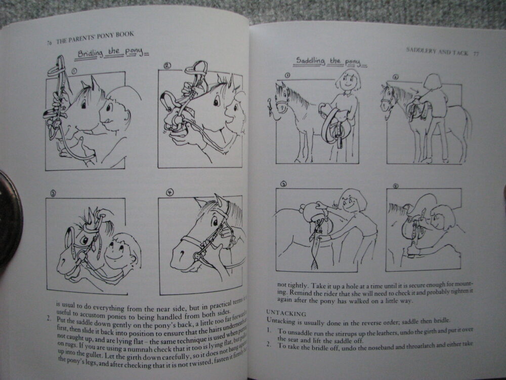 The Parents Pony Book, Carolyn Henderson - Image 13