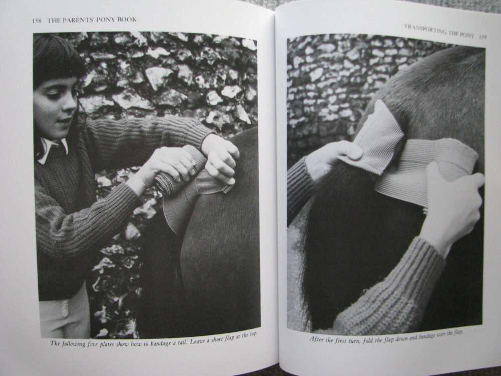 The Parents Pony Book, Carolyn Henderson - Image 15
