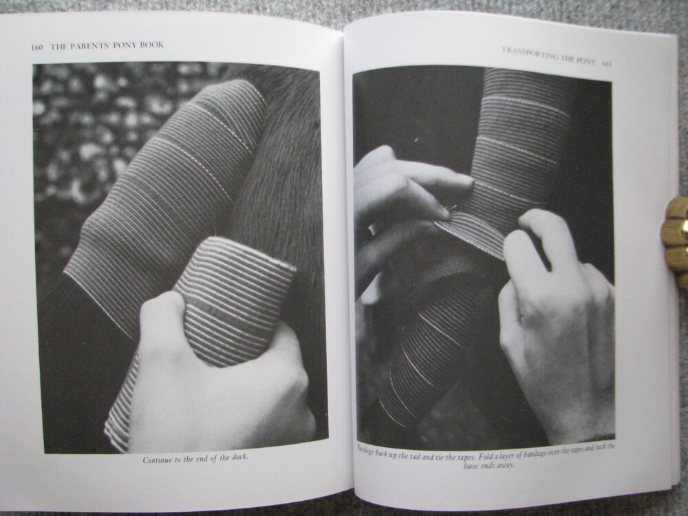 The Parents Pony Book, Carolyn Henderson - Image 16